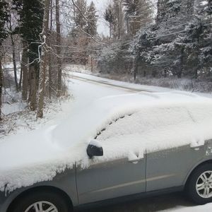 Meet your Posher, Regina